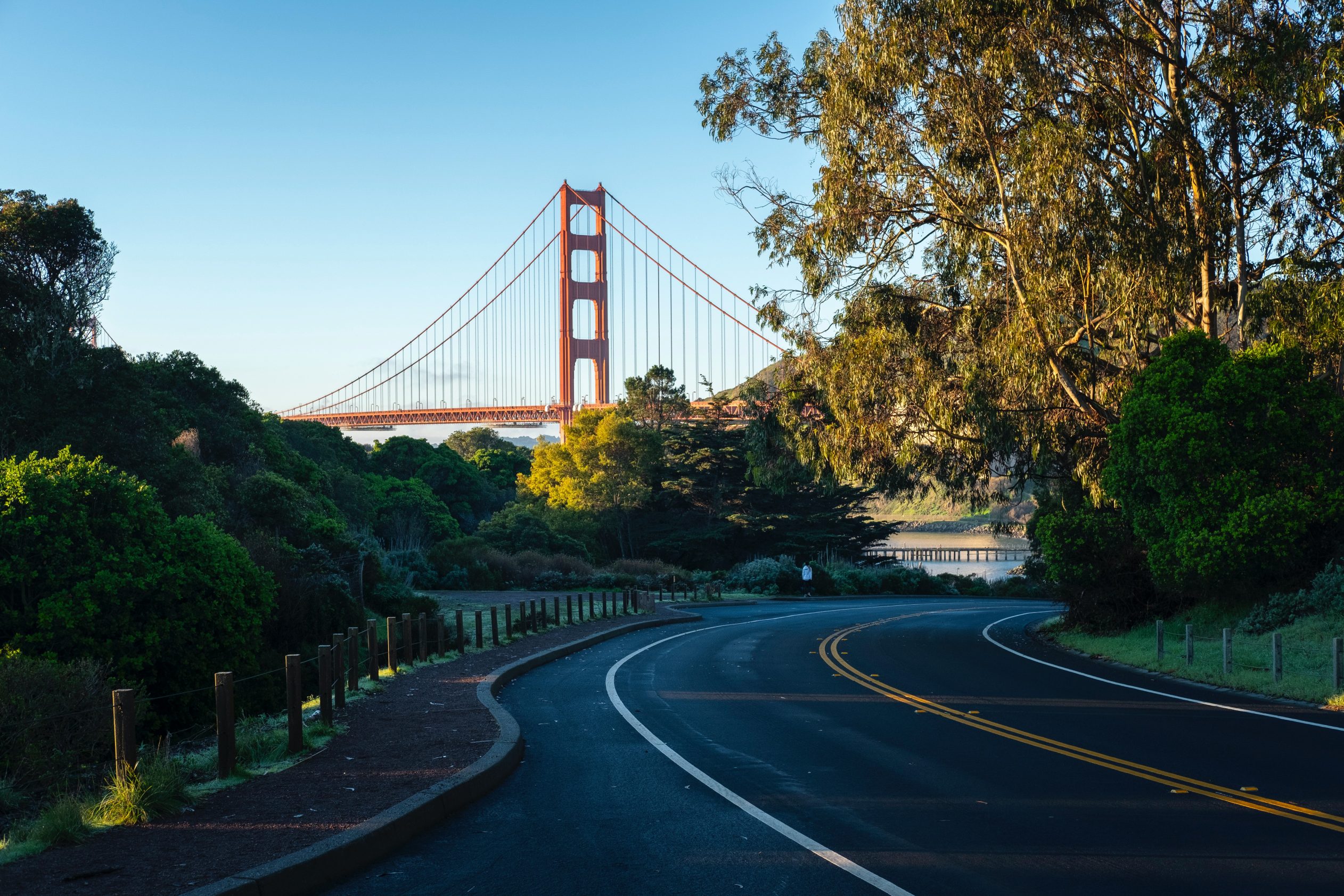View of Golden Gate Bridge through trees